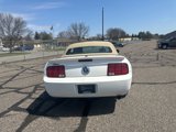 Used 2007 Ford Mustang Deluxe image 6