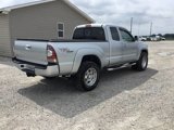 Used 2009 Toyota Tacoma w/ TRD Sport Package image 3