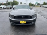 Used 2013 Ford Mustang GT Premium w/ Electronics Pkg image 3