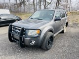 Used 2009 Ford Escape XLT image 3