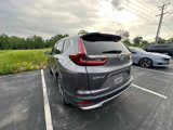 Used 2020 Honda CR-V EX-L image 3