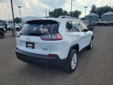 Used 2019 Jeep Cherokee Latitude w/ Popular Appearance Group image 3