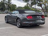 Used 2015 Ford Mustang Convertible w/ Equipment Group 051A image 5