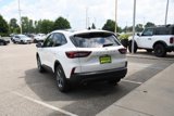 New 2025 Ford Escape ST-Line w/ Tech Pack #1 image 4
