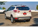 Used 2016 Ford Escape SE w/ Equipment Group 201A image 5