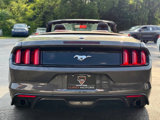 Used 2015 Ford Mustang Premium w/ Equipment Group 201A image 4