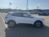 Used 2020 Ford Escape SEL image 4