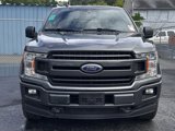 Used 2019 Ford F150 XLT w/ Equipment Group 302A Luxury image 2