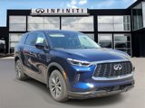 New 2025 INFINITI QX60 Pure image 3