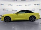 Used 2021 Ford Mustang Premium image 2