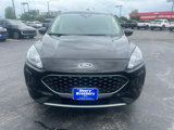 Used 2020 Ford Escape SE image 3