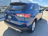 Used 2022 Ford Escape SE w/ Convenience Package image 6