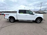 Used 2019 Ford F150 XLT w/ Equipment Group 301A Mid image 4