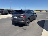 Used 2022 Ford Escape SE w/ SE Sport Appearance Package image 5