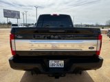 Used 2019 Ford F250 Platinum w/ Platinum Ultimate Package image 6