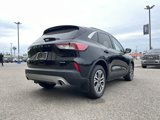 Used 2022 Ford Escape SEL w/ Equipment Group 302A image 2