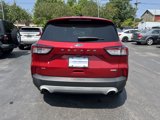 Used 2020 Ford Escape SE image 3