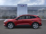 New 2025 Ford Escape ST-Line w/ Tech Pack #1 image 3