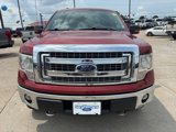 Used 2013 Ford F150 XLT w/ Luxury Equipment Group image 2