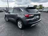 Used 2021 Ford Escape SE image 4