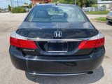 Used 2013 Honda Accord EX-L image 5