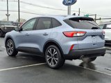 Certified 2022 Ford Escape SE w/ SE Sport Appearance Package image 4