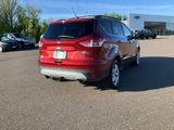 Used 2014 Ford Escape SE w/ Equipment Group 201A image 2