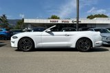 Used 2021 Ford Mustang Premium image 6