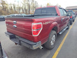 Used 2013 Ford F150 XLT w/ Luxury Equipment Group image 2