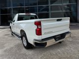 Used 2024 Chevrolet Silverado 1500 W/T w/ WT Fleet Convenience Package image 5