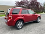 Used 2012 Ford Escape Limited image 6