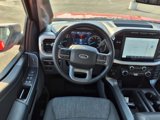 Certified 2022 Ford F150 XLT w/ Equipment Group 302A High image 4