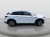 Certified 2022 INFINITI QX50 Luxe w/ Cargo Package image 3
