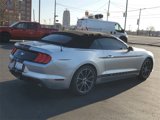 Used 2019 Ford Mustang Premium w/ Equipment Group 201A image 3