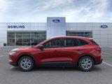 New 2025 Ford Escape Active w/ Tech Pack #1 image 3