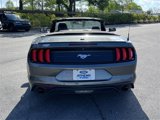 Certified 2020 Ford Mustang Premium image 4