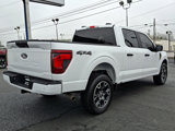 Used 2024 Ford F150 STX image 6