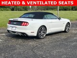 Used 2015 Ford Mustang GT Premium w/ Equipment Group 401A image 3