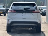Used 2024 Ford Edge SEL image 6