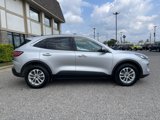 Certified 2020 Ford Escape SE image 3
