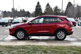 Used 2025 Ford Escape Active w/ Tech Pack #1 image 5