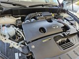 New 2025 INFINITI QX50 Sport image 4