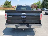 Used 2010 Ford F150 XLT image 4