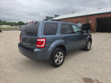 Used 2012 Ford Escape XLT image 3
