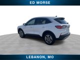 Used 2022 Ford Escape SEL image 6