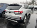 Used 2020 Ford Escape SE image 2