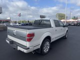Used 2011 Ford F150 Platinum image 5
