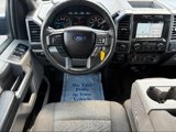 Used 2017 Ford F150 XLT w/ Equipment Group 302A Luxury image 4