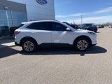Used 2022 Ford Escape SEL image 6
