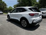 Used 2020 Ford Escape SEL image 4